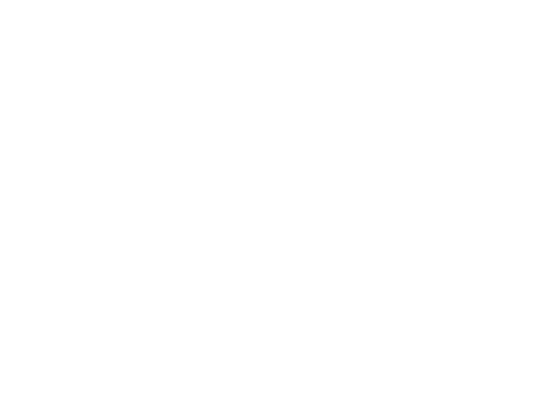 Cantina Santa Ninfa - Logo